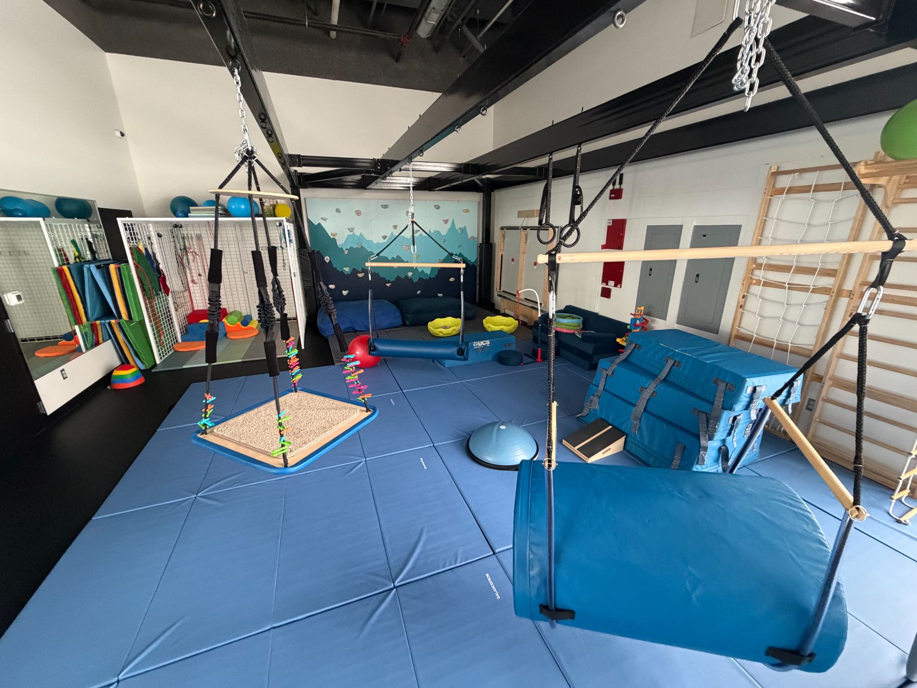 Pediatric therapy gym
